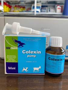 COLEXIN pump (100ml) Holland chặn đứng tiêu chảy ở gia súc