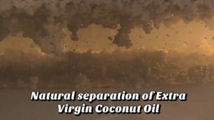 Pure Extra Virgin Coconut Oil - Natural Fermentation Method