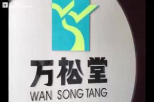 28 Day Slimming Tea: A Natural Weight Loss & Detox Solution