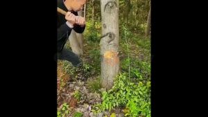 Japanese Style Saw & Mini Wood Cutting Saw: A Comprehensive Guide