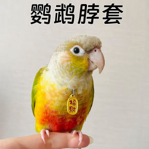 Ultra-light Parrot Neck Ring with Release Rope Pendant for Outdoor Travel Tiger Lily Peafowl Special Use Bird Accessories
