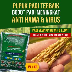 REKOMENDED PUPUK 1 Kilo Tabur dan Semprot Langsung Lebat - Pupuk Penambah Bobot Padi Pembesar Bulir Padi Anti Hama Kresek Akar Gada Kerdil Padi Blast Padi dll - Pupuk Tanaman Padi Terbaik Murah Berkualitas