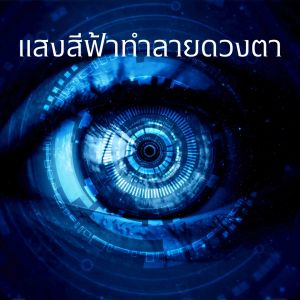 วิตามินดวงตา แอล ซี วิต 3 เอกซ์ อาหารเสริมกิฟฟารีน วิตามินเอ-อี ดูแลดวงตา จอตา สายตา ลูทีน10 มก. แอสตาแซนธิน บิลเบอร์รี่ ซีแซนธิน