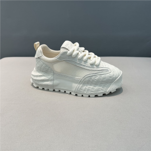 New 2025 Mens Dad Shoes Breathable Mesh Thick Bottom Lightweight Casual Shoes Trendy Flat Heel Rubber Outsole Summer Shoes