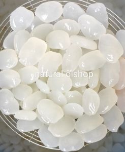 Kolang kaling segar 1kg kolang kaling super