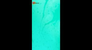 Inaura Magia Scalp Balancing Care Solution Balancing Mask / Masker rambut / Hair Mak 500ML