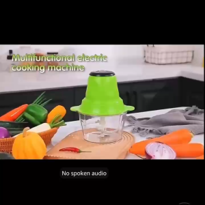BIN LU Grinder para sa Karne! 2L Electric Meat Grinder & Food Chopper – Easy Clean Multifunctional for Meat/Veggies/Nuts