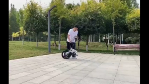 จักรยานพับ 14 นิ้วผู้ใหญ่นักศึกษาจักรยานหมุนจักรยานรวมชาย และหญิงน้ำหนักเบาขนาดเล็กเท้าเหยียบ