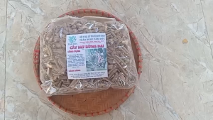 100g thân rễ cây mơ dại không lẫn lá sấy khô