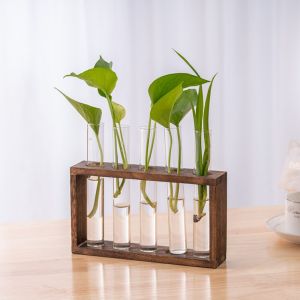 Bình Thủy Tinh Nhân Tạo Cây Thủy Canh Có Giá Đỡ Bằng Gỗ Thiết Kế Treo Tường Để Bàn Trang Trí Nhà Cửa Văn Phòng 3/5 Ống Trồng Cây