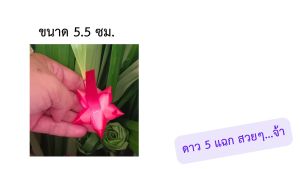 ดอกริบบิ้นพวงมาลัย ดาว5แฉก ขนาด 5.5 ซม. 300 ดอก (ชุด)