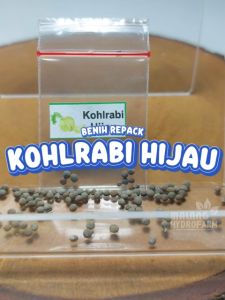Benih Kohlrabi Hijau Unggulan Berkualitas biji bibit repack kol kubis hydroponik hidroponik sayur sayuran tanaman pot
