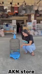 TEBOK PVC LOVEBIRD AVES PLUS PION Tebok pvc Lovebird merk AVES tebok lovebird pvc plus pion diameter 33cm