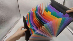13/25Pockets Hanging File Holder Expanding File Folder Paper Organizers Desktop Storage A4 Size