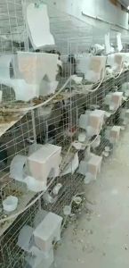 ✅Ready Stock✅ Rabbit Cage Large Extra Breeding Breed Home Hamsters Indoor Nest Rumah Sarang Arnab Commercial 兔子笼抽屉式/双层