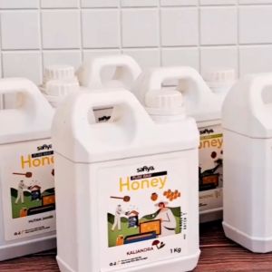 Safiya Madu Murni Akasia 1 Kg Raw Honey Premium
