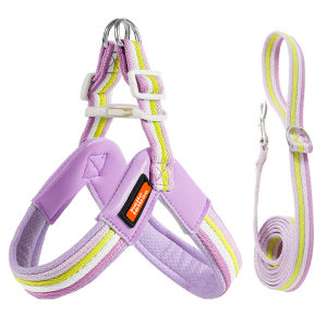 HELLOLEIBOO | Shock Resistant Escape Proof Breathable Lightweight Dog Chest Harness