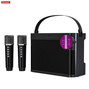 Loa Bluetooth Di Động 10W Có Đèn RGB 2 Micro Và Âm Trầm Vòm Không Dây Cho Karaoke Tại Nhà