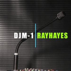 RAYHAYES Goosenechk Microphone original Conference Cardioid condenser mic for mixer sound system for DJ Meeting party