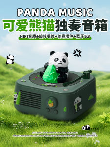 Panda Black Vinyl Retro Sound Small Bluetooth Speaker Wireless Subwoofer Record Boyfriend Birthday Gift for Girls
