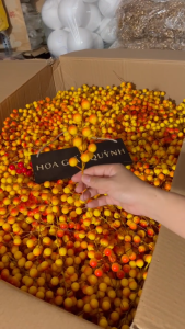 Gói 50 nhánh đào đông vàng/ đỏ trang trí Tết nhà cửa