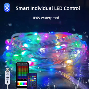 20M/10M RGBIC LED Smart Fairy Color Strip Light USB Bluetooth APP Control String Light DIY for Christmas Party Wedding Home Deco