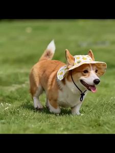Cute Duck Printed Pet Cat Dog Hat Adjustable Cap for Cat Small Medium Puppy Corgi Pug Dachshund Outdoor Dog Costume Accessory