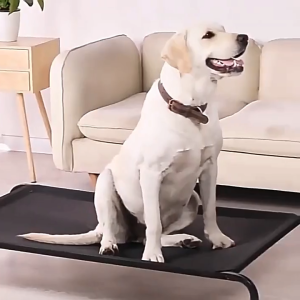 Tempat tidur anjing Tempat tidur mesh Tempat tidur hewan peliharaan Anti-dermatosis Tahan lembab