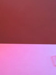 Khay đựng đồ uống bỏ tủ lạnh Hộp đựng 2 tầng nhựa trong suốt tự động lấp đầy Làm từ nhựa PET kích thước 365x 168x 153mm