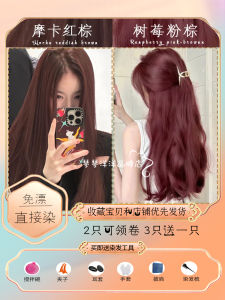 Blue Lotus Colorful Hair Dyeing Paste 400ml Tea Chestnut Brown Raspberry Powder Brown Red Maple Tree Home Hair Dyeing