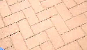 SANTINO Telescopic High Pruning Branch Shears Saw Cutter Kelapa Fruit Picker Viral Galah Pengait Buah Moden Kait Bag