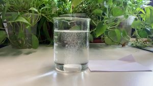 Gibberellic Acid GA3 Foliar Fertilizer 10% and 90% Biostimulant Tablet for Plant Growth Regulation