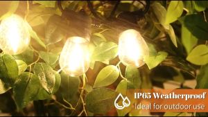 1W Christmas String Light Bulb  Solar/220v plug in S14 G40 LED Replacement Bulbs  E26/E27 Base  Warm White 2700k E12
