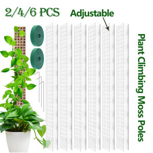 2/4/6Pcs New Plant Climbing Moss Poles Plastic Adjustable Height Plants Growing Support Stand  Indoor Plant Stake Growing Pole
