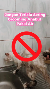 NOVAMOS Dry Shampoo Kucing Anjing 100ML | Shampoo Kering Anti Bau Tanpa Bilas | Pembersih Cepat Bulu Kaki