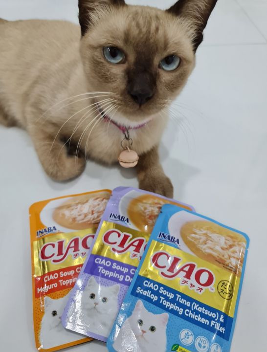 อาหารแมว CIAO INABA | Lazada.co.th