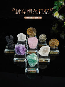 Mô Phỏng Hóa Thạch Khoáng Vật Tự Nhiên Đồ Chơi Sáng Tạo Cho Trẻ Em Quà Tặng Giáo Dục Phụ Kiện Trang Trí Nhà Đồ Chơi Mô Hình Khoa Học