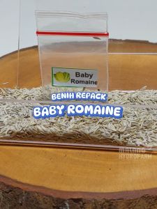 Benih Selada Green Romaine Unggulan