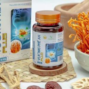 Vương Phế An plus hộp viên uống 60g (300vien cao hoàn)_100% chính hãng giá gốc_viêm họng hạt amidan hốc mủ