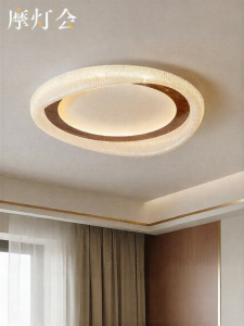 FANCY LAMP CLUB | Bright Eye-Protective Modern Luxury Ceiling Light