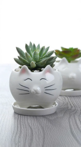 Chậu Trồng Cây Sen Đá Xương Rồng Cây Mini Hình Mèo Có Khay Lỗ Thoát Nước Trang Trí Để Bàn