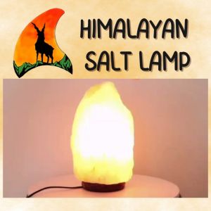 SHARKS MARKS 2KG Natural Himalayan Salt Lamp Home Decoration Lighting Pakistan Importer