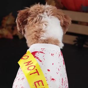 Halloween Pet Four Leg Dress Scary Blood Seal Pattern Dog Costume Holiday Party Cosplay Outfit