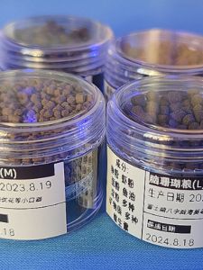 DIY Ant Brain Coral Grain Fertilizer and Color Increasing Sea Coral Cylinder Large Grain Coral Grain