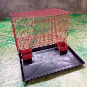 kandang LOVE BIRD P45 L30 T30  redy siap kirim