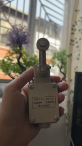 LIMIT SWITCH LX19-121 PLUNGER MOMENTARY LIMIT SWITCH 1NC 1NO