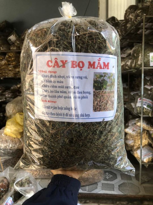 cây bọ mắm khô (thuốc dòi) thân tím 1kg | Lazada.vn