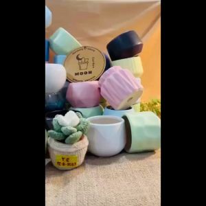 [8cm*75cm]Chậu trồng Sen Đá Xương Rồng Hoa nhỏ Kiểu Tro gốm Sứ Bát Tràng đồ decor đẹp