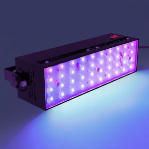 UV Black Light 200W =2000W outdoor LED flood light Black Light LED Spotlight 395nm Lamp for Disco Glow Party Stage light