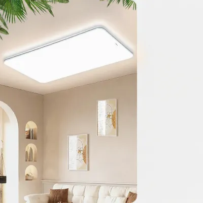Panasonic | Eyes-Protecting Full-Spectrum LED Ceiling Light for Dining Room and Living Room